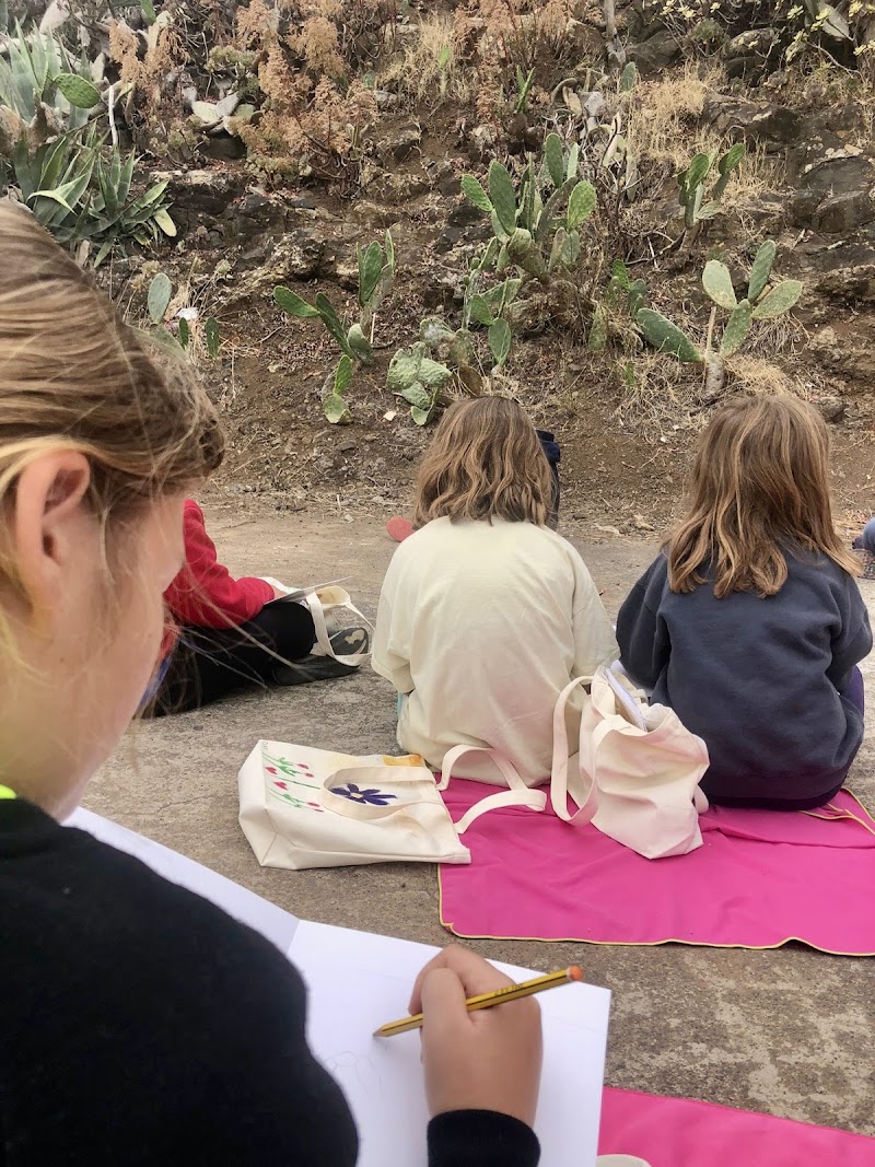 Imagen de Academia de Arte Mercedes Ley