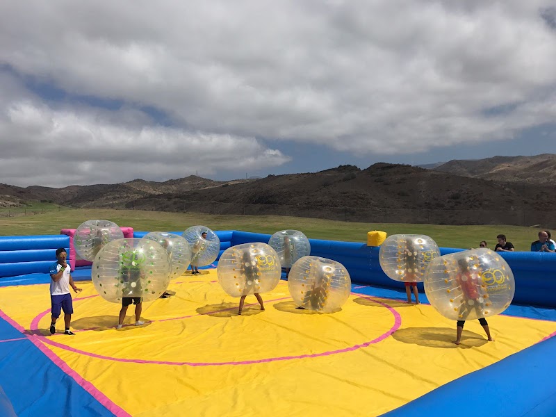 Imagen de Limonium Canarias – Turismo Activo y Sostenibilidad