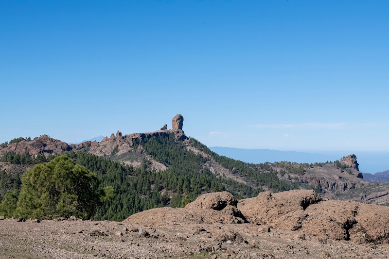 Imagen de Limonium Canarias – Turismo Activo y Sostenibilidad