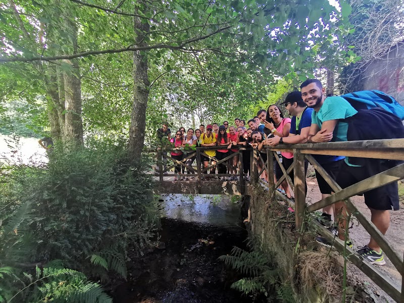 Imagen de Limonium Canarias – Turismo Activo y Sostenibilidad