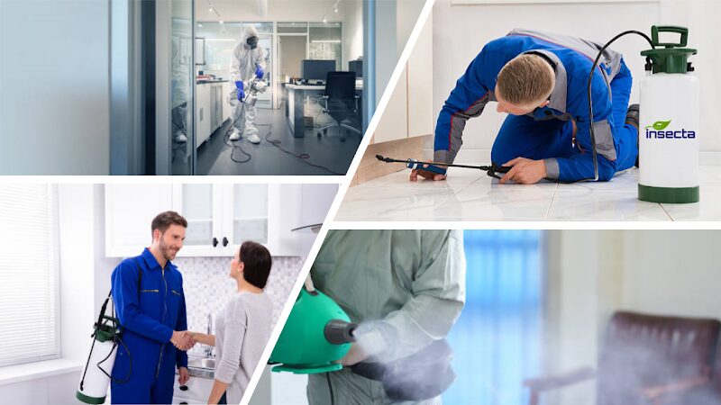 Imagen de Insecta Higiene Ambiental