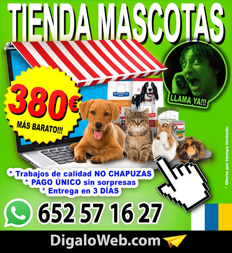 Imagen de negocio en Diseño web en San Fernando de