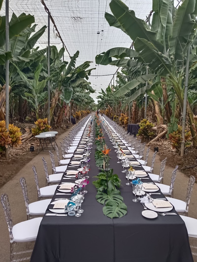 Imagen de negocio en Organización de eventos en Provincia de Las Palmas
