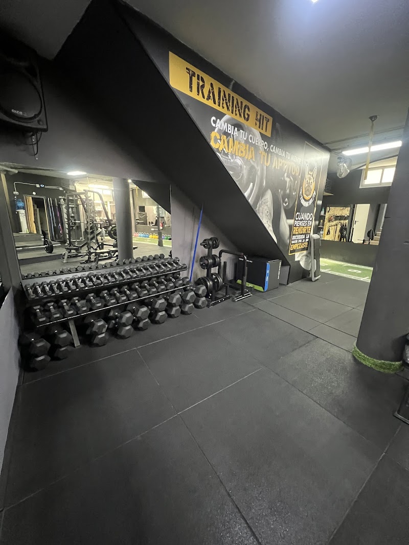 Imagen de Training Hit
