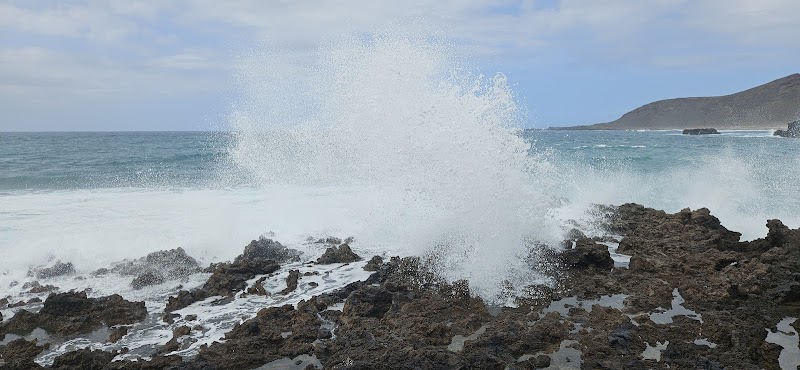 Imagen de Gastrobar Cocina Oriental