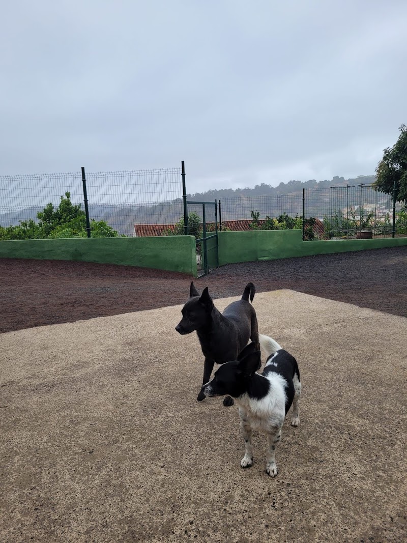 Imagen de negocio en Guardería para mascotas en Provincia de Las Palmas