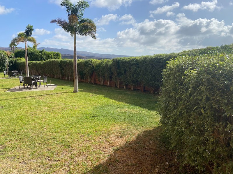 Imagen de Jardines y Piscinas Decogarden Canarias