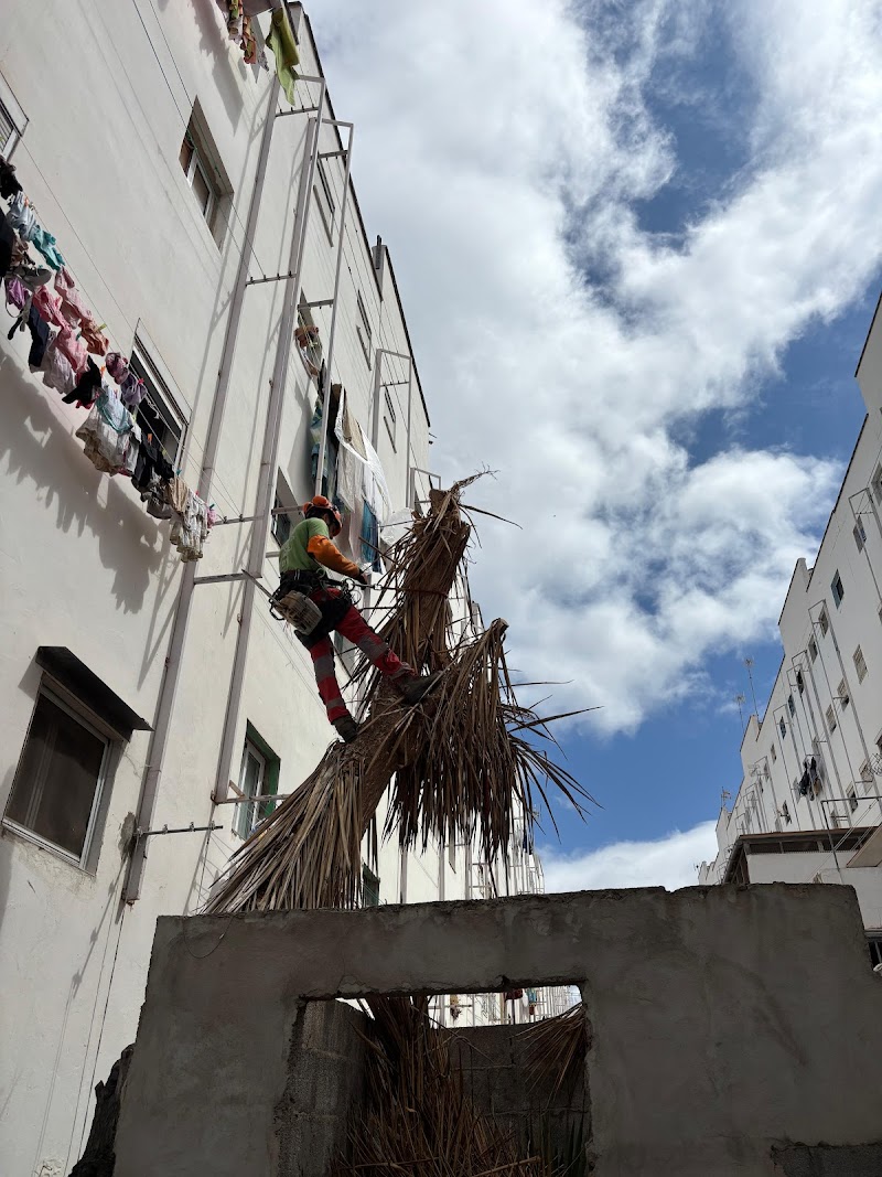 Imagen de Poda Norte Trabajos en Altura
