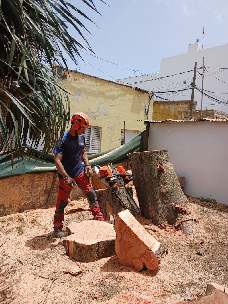 Imagen de Poda Norte Trabajos en Altura