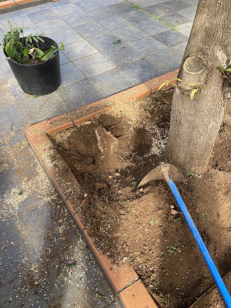 Imagen de Poda Norte Trabajos en Altura