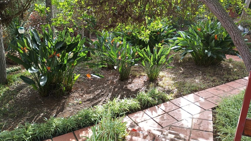 Imagen de Poda Norte Trabajos en Altura