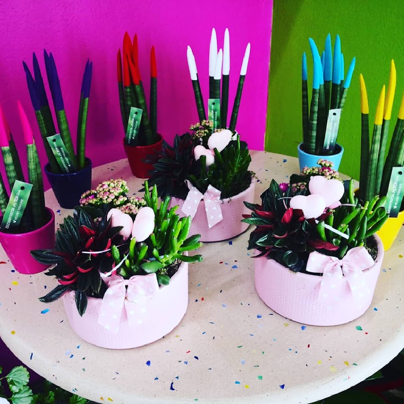 Imagen de Marmolería Diazmor