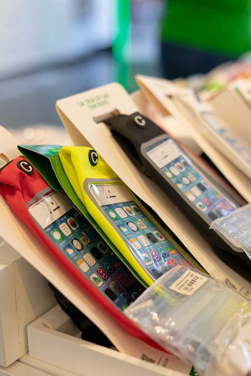 Imagen de La Casa de las Carcasas