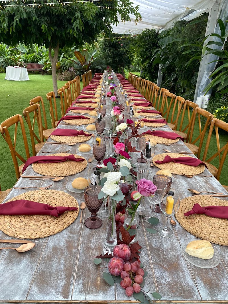 Imagen de negocio en Organización de bodas en Provincia de Las Palmas