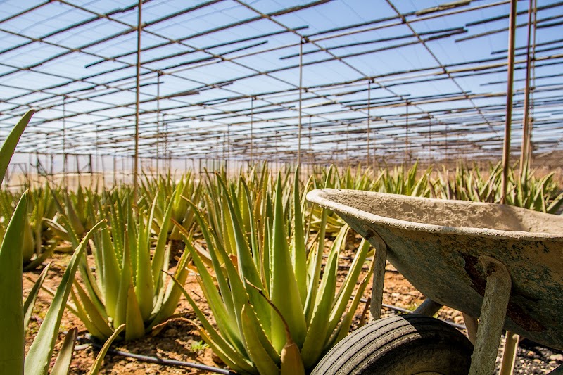 Imagen representativa de la localización