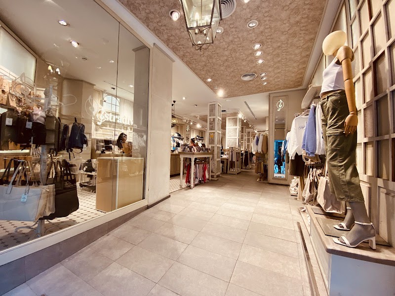 Imagen de Stradivarius