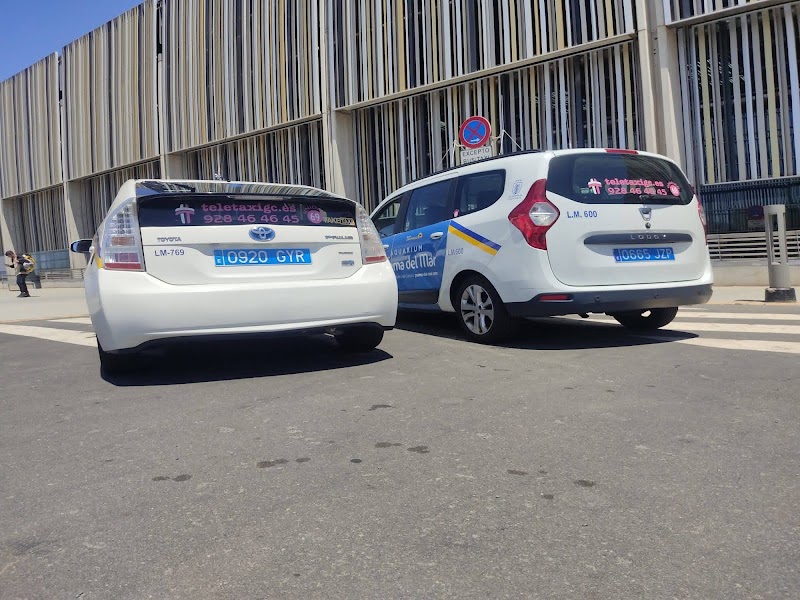 Imagen de negocio en Taxi y VTC en Provincia de Las Palmas