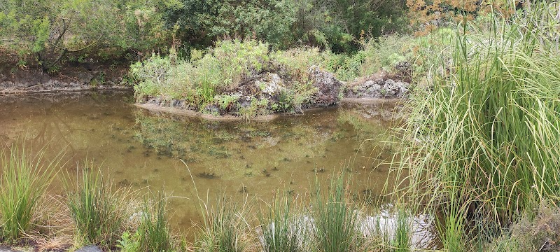 Imagen representativa de la localización