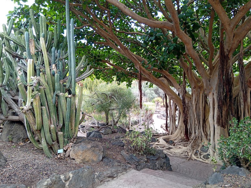 Imagen representativa de la localización