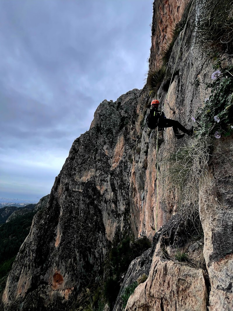 Imagen de negocio en Actividades al aire libre en L'olivereta