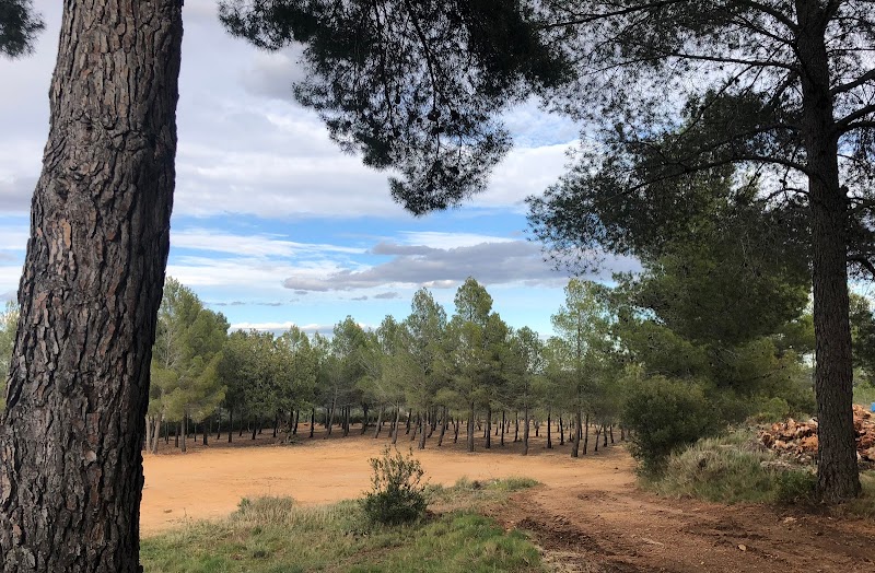 Imagen de Campamento la Serrana