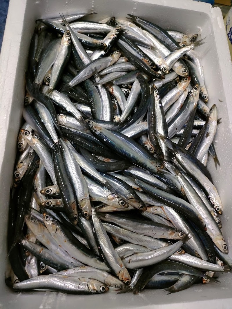 Imagen de Cervecería Tapeo