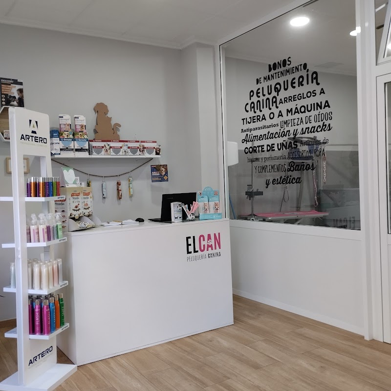 Imagen de negocio en Peluquería canina y felina en Ontinyent