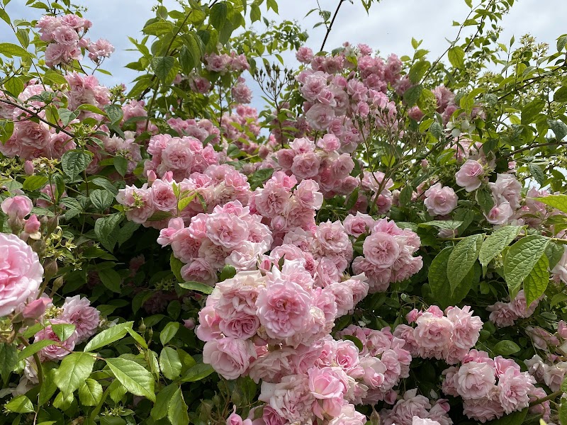 Imagen representativa de la localización