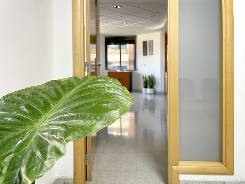 Imagen de Pascual y Asociados S L