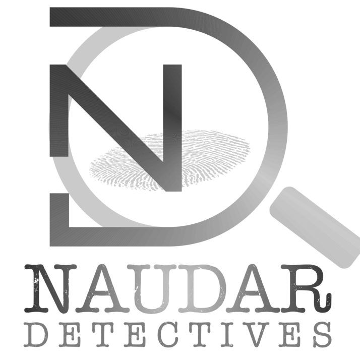 Imagen de Naudar Detectives