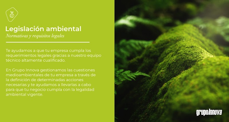 Imagen de Grupo Innova – Consultoría Integral para Empresas