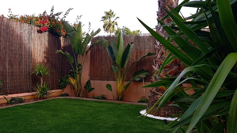 Imagen de Io Paisajismo