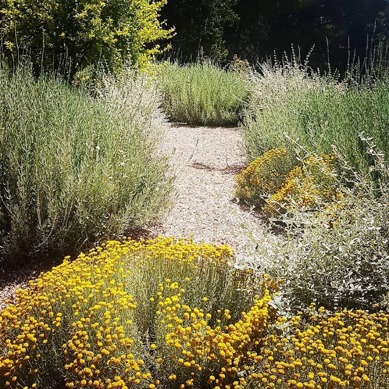 Imagen de Io Paisajismo