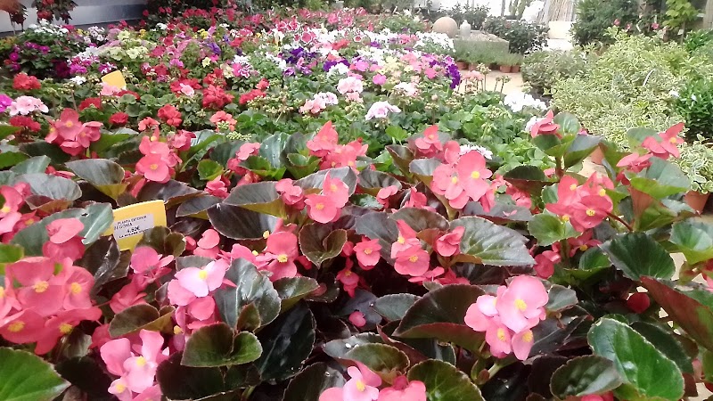 Imagen de La Solana Vivers