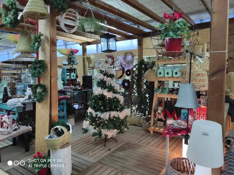 Imagen de La Solana Vivers