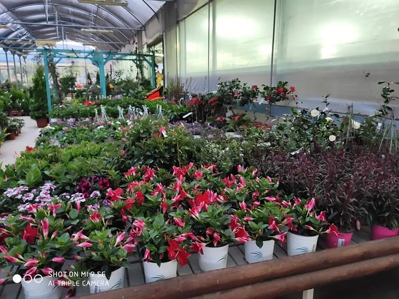 Imagen de La Solana Vivers