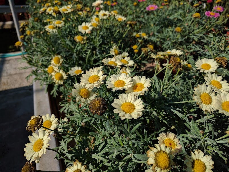 Imagen de Jardines Joyma S.l.