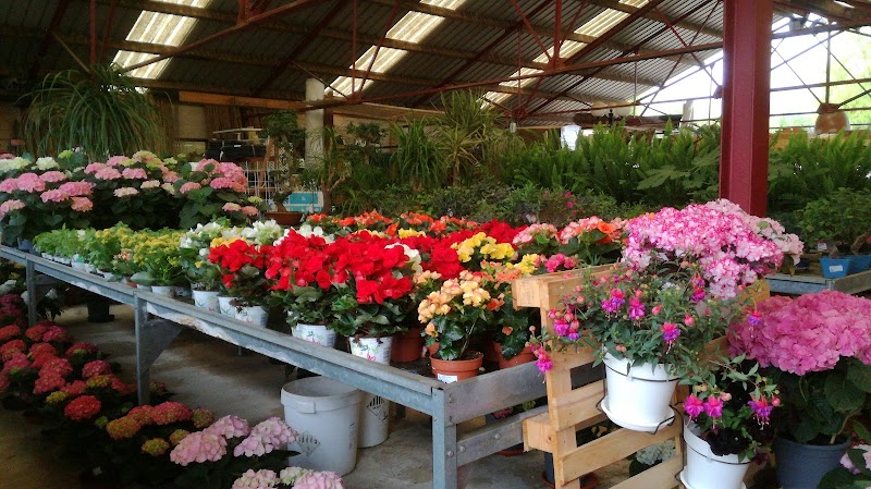 Imagen de Jardines Joyma S.l.