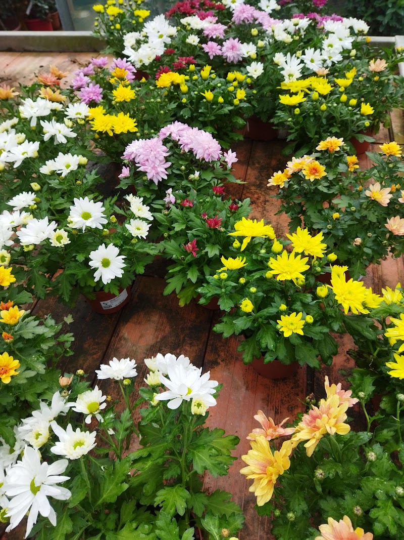 Imagen de Jardines Joyma S.l.