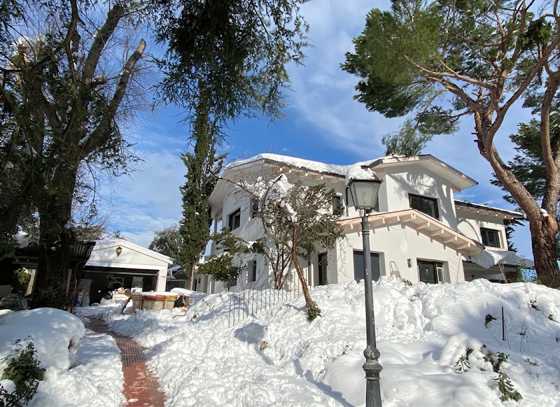 Imagen de Cammi Estructuras