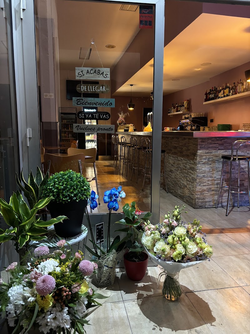 Imagen de La Forastera