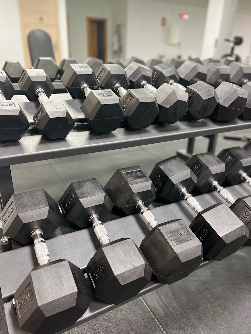 Imagen de Elite Trainer