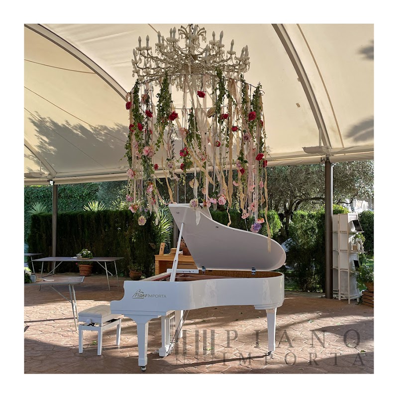 Imagen de Piano Importa