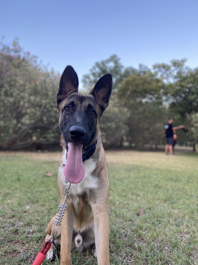 Imagen de Brocan Adiestramiento Canino