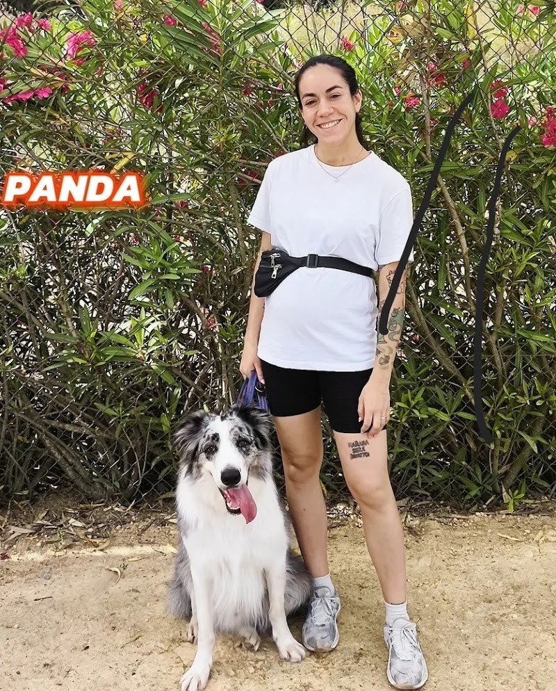 Imagen de Brocan Adiestramiento Canino