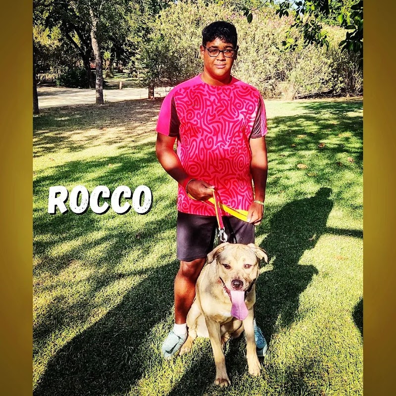 Imagen de Brocan Adiestramiento Canino