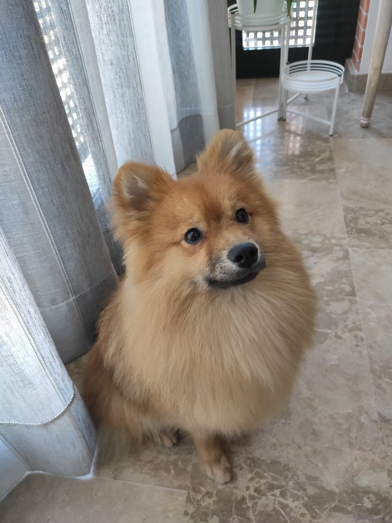 Imagen de Semillas, Piensos y Mascotas Titi