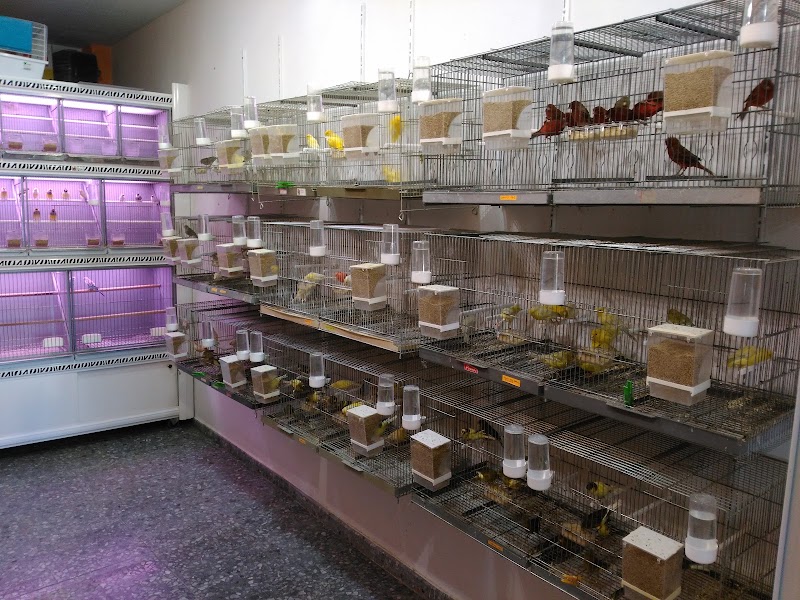 Imagen de Semillas, Piensos y Mascotas Titi