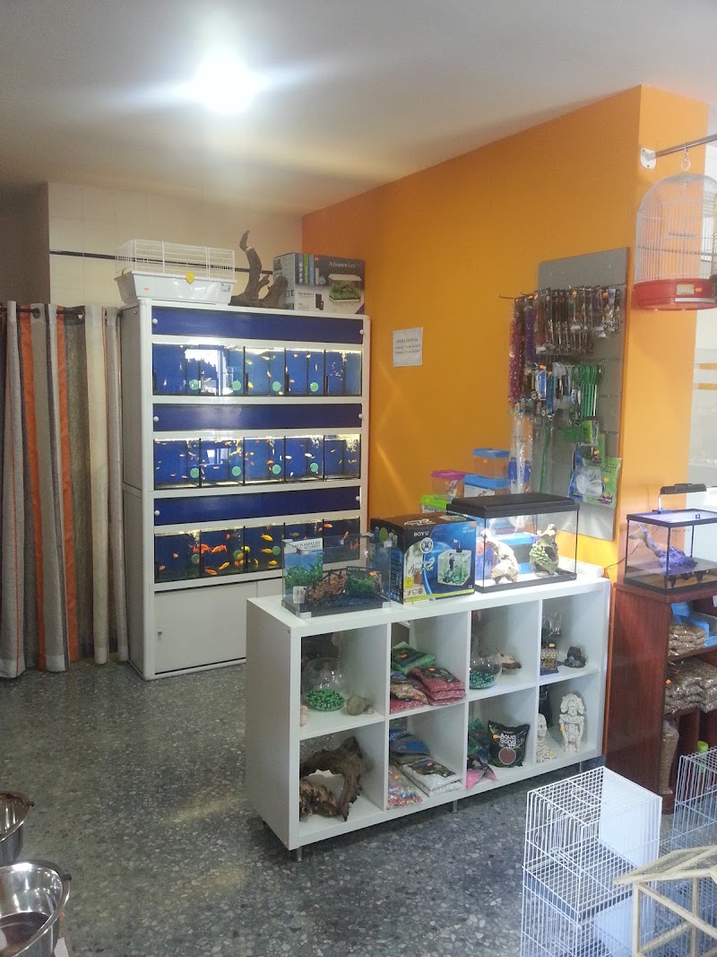 Imagen de Semillas, Piensos y Mascotas Titi