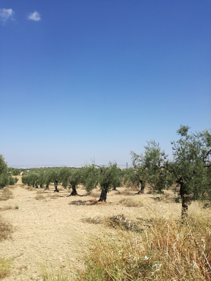 Imagen representativa de la localización